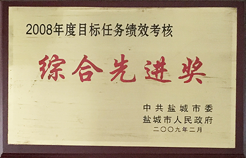 2009年2月目標任務(wù)績效考核“綜合先進獎”.JPG