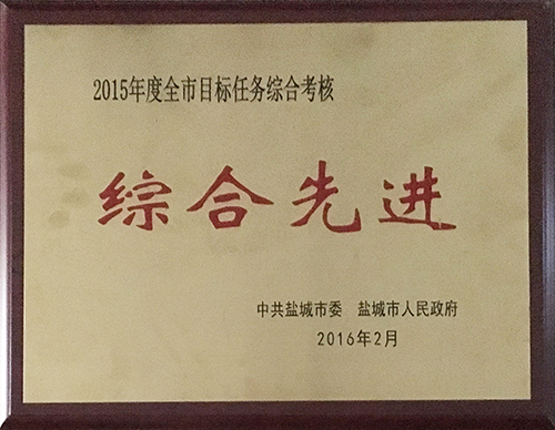 2016年2月全市目標任務(wù)綜合考核綜合先進.JPG